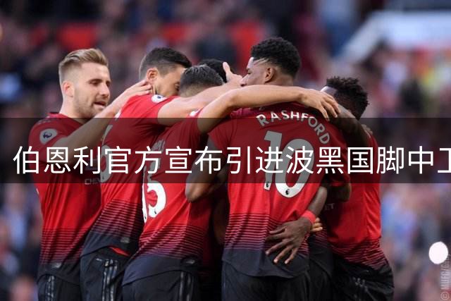 伯恩利官方宣布引进波黑国脚中卫艾哈迈多霍季奇