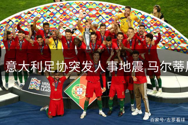 意大利足协突发人事地震 马尔蒂尼携莱昂纳多闪电辞职