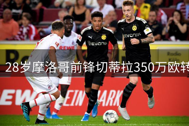 28岁摩洛哥前锋切蒂拉350万欧转投弗洛西诺内